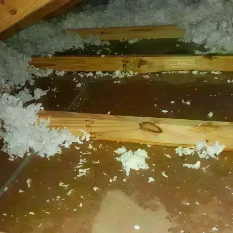 Attic Water Damage in Shiprock, NM